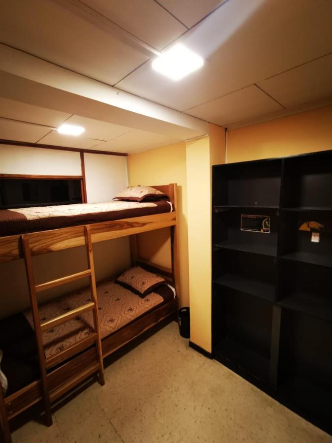 Toucan Hostel *